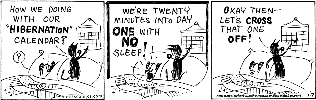 February 7 2004, Daily Comic Strip