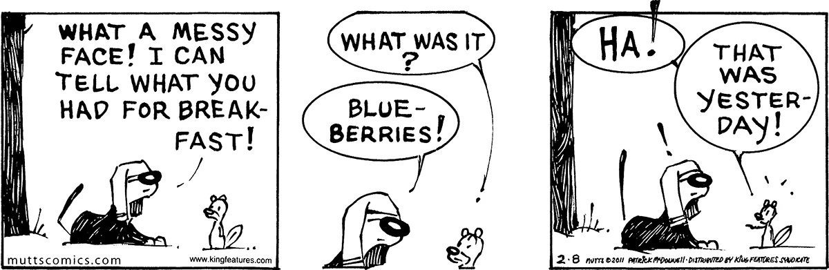 February 8 2011, Daily Comic Strip