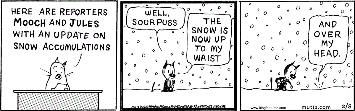 February 8 2023, Daily Comic Strip