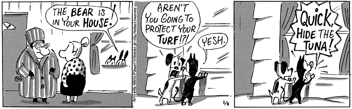 February 8 1996, Daily Comic Strip