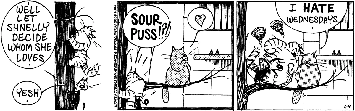 February 9 2000, Daily Comic Strip