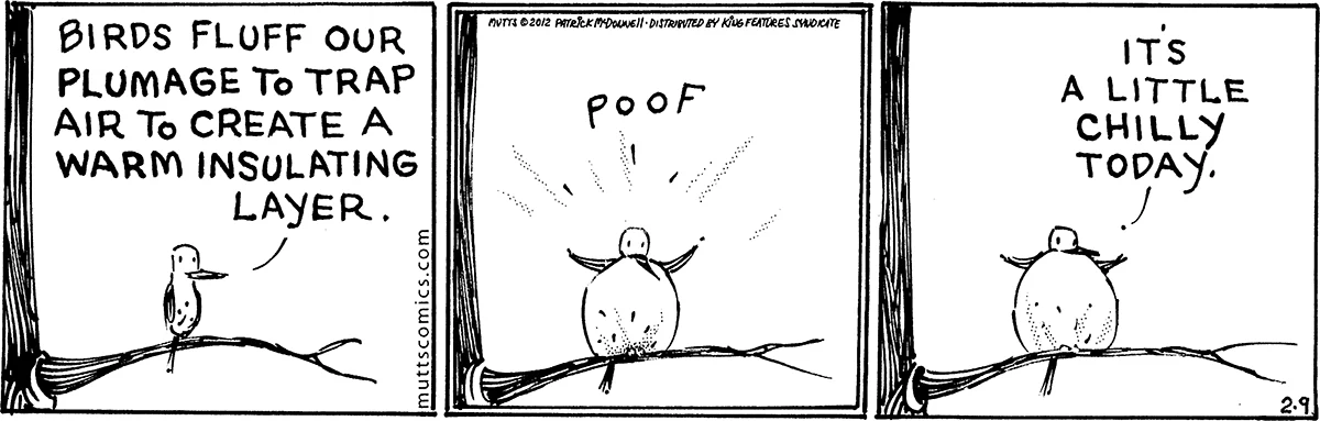February 9 2012, Daily Comic Strip
