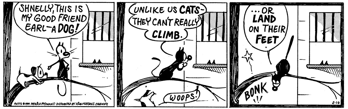 February 10 1999, Daily Comic Strip