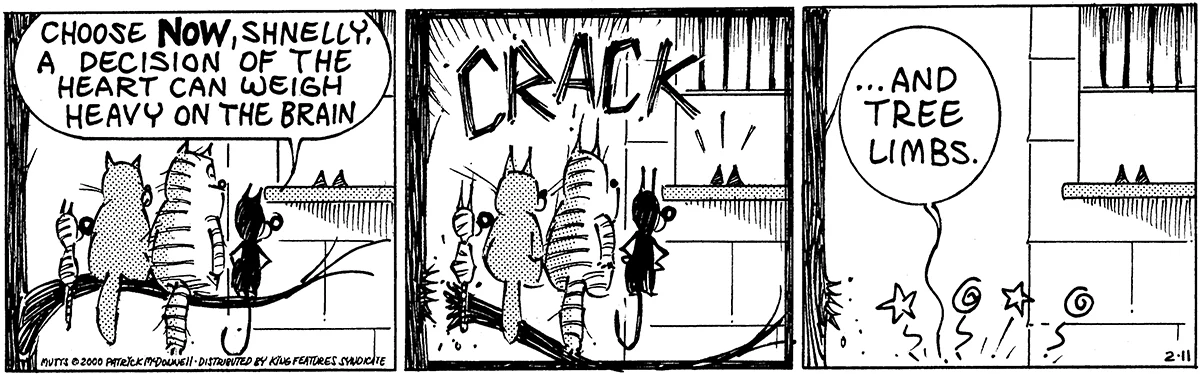 February 11 2000, Daily Comic Strip