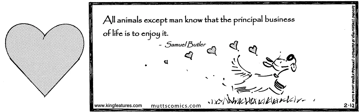February 12 2007, Daily Comic Strip