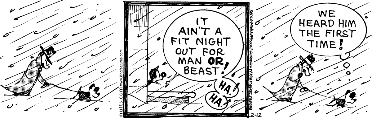 February 12 2025, Daily Comic Strip