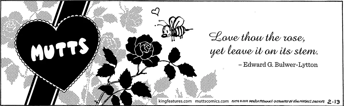 February 13 2010, Daily Comic Strip