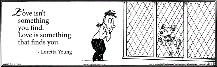 February 13 2016, Daily Comic Strip
