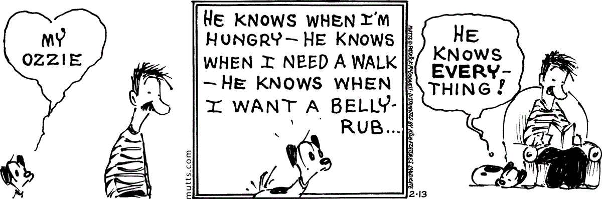 February 13 2025, Daily Comic Strip