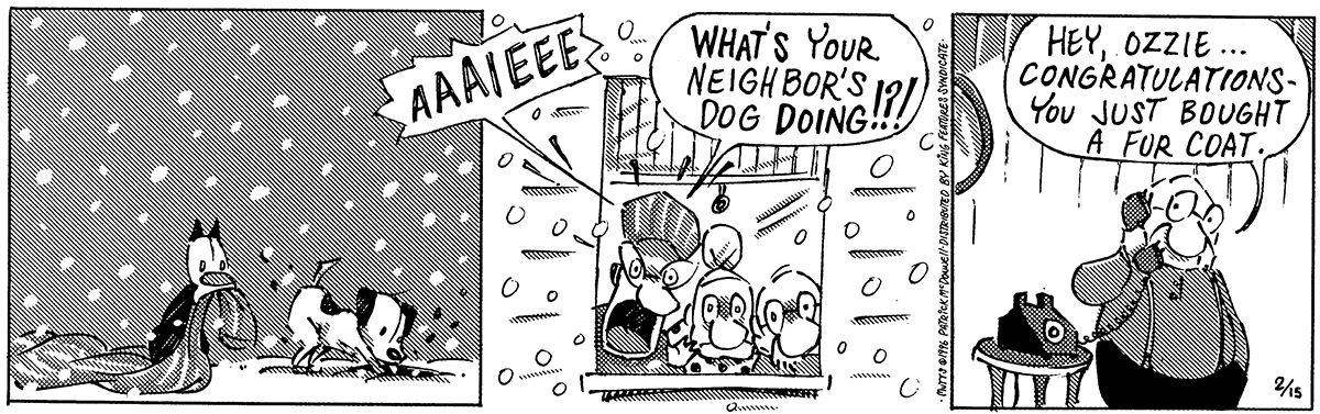 February 15 1996, Daily Comic Strip