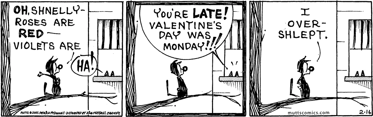 February 16 2005, Daily Comic Strip