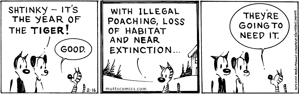 February 16 2010, Daily Comic Strip