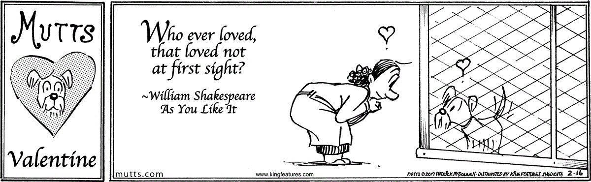 February 16 2019, Daily Comic Strip