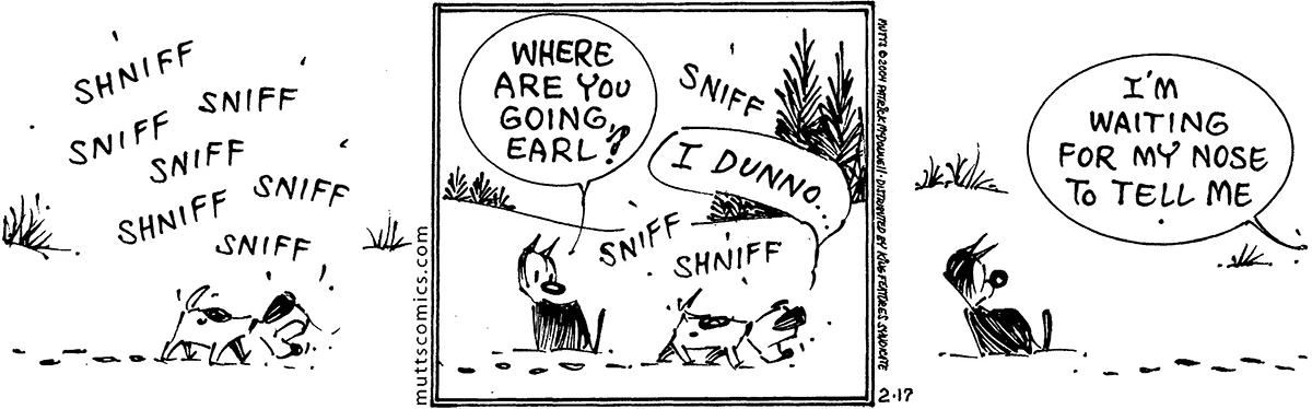 February 17 2004, Daily Comic Strip