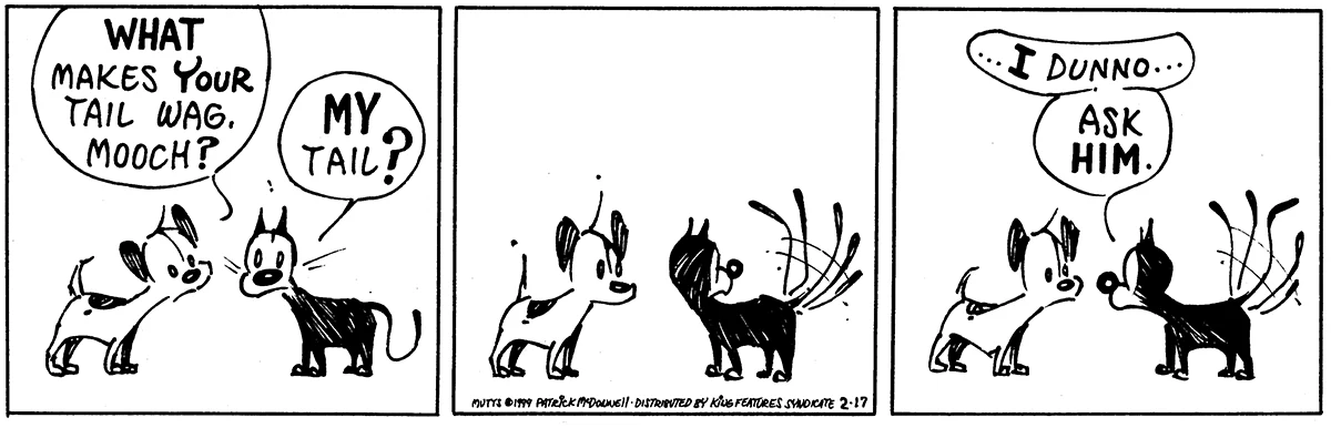 February 17 1999, Daily Comic Strip