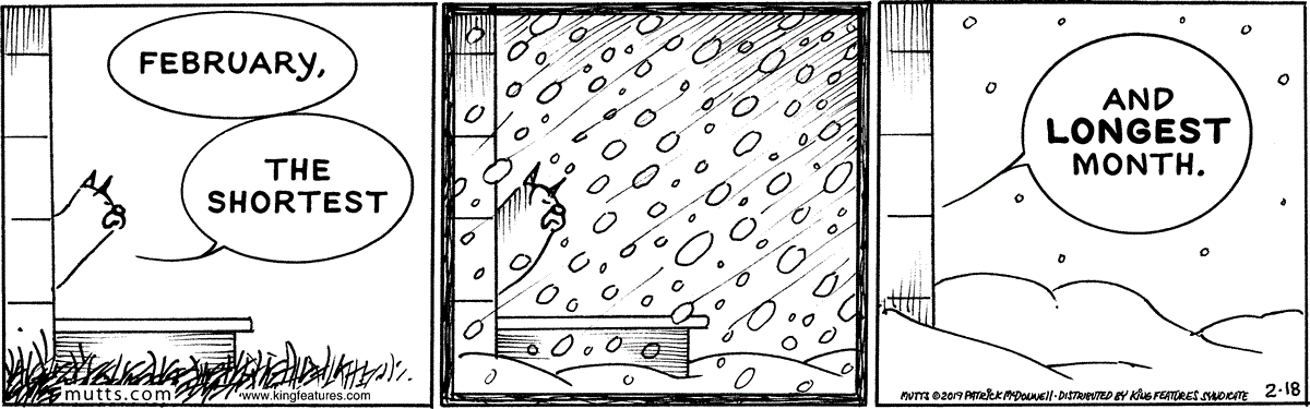 February 18 2019, Daily Comic Strip