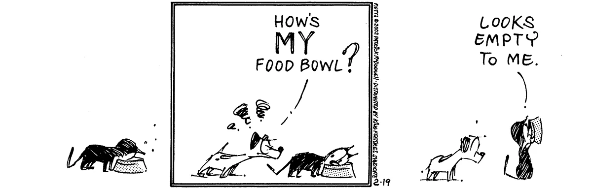 February 19 2002, Daily Comic Strip