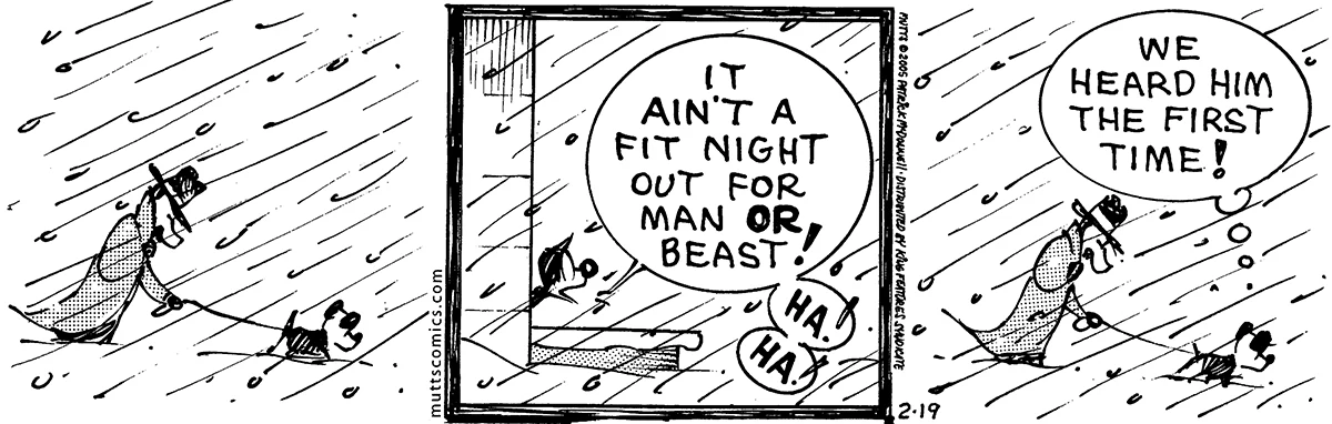 February 19 2005, Daily Comic Strip