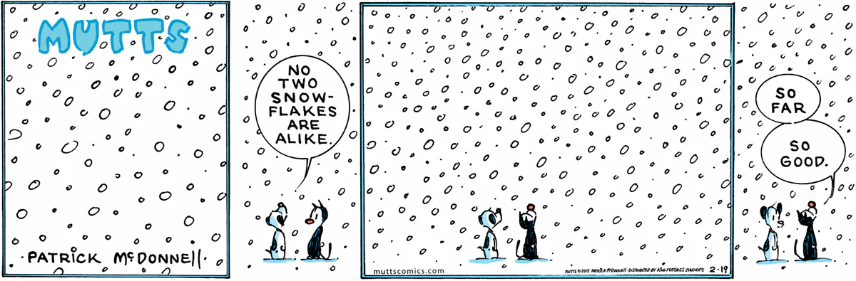 February 19 2012, Sunday Comic Strip