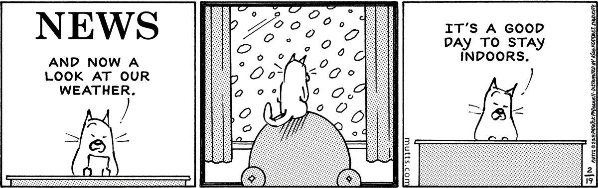 February 19 2018, Daily Comic Strip