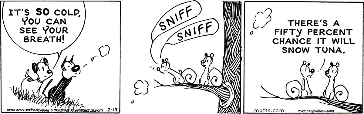 February 19 2019, Daily Comic Strip