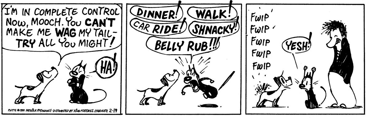 February 19 1999, Daily Comic Strip