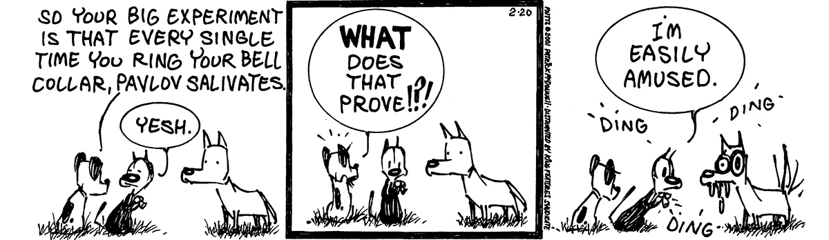 February 20 2001, Daily Comic Strip