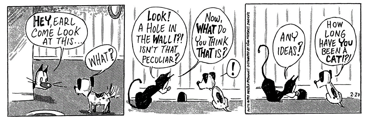 February 20 1995, Daily Comic Strip