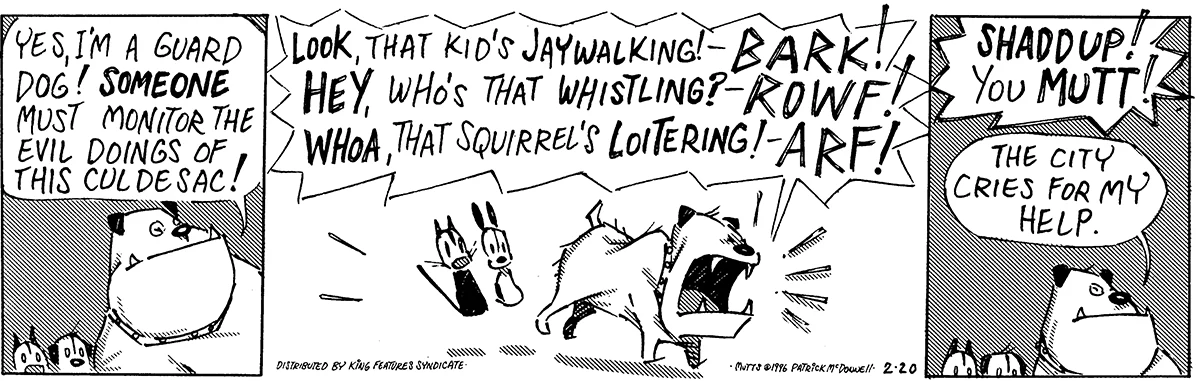 February 20 1996, Daily Comic Strip