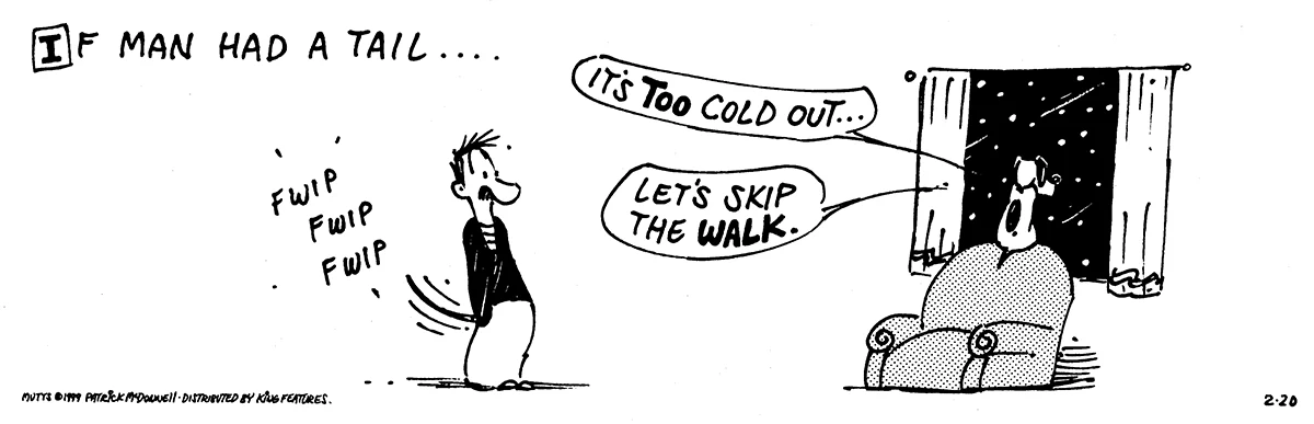 February 20 1999, Daily Comic Strip