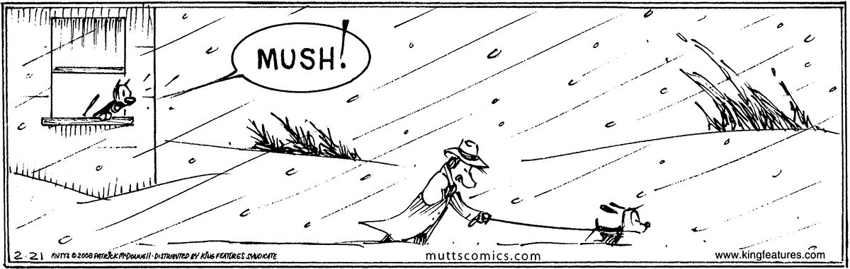 February 21 2008, Daily Comic Strip