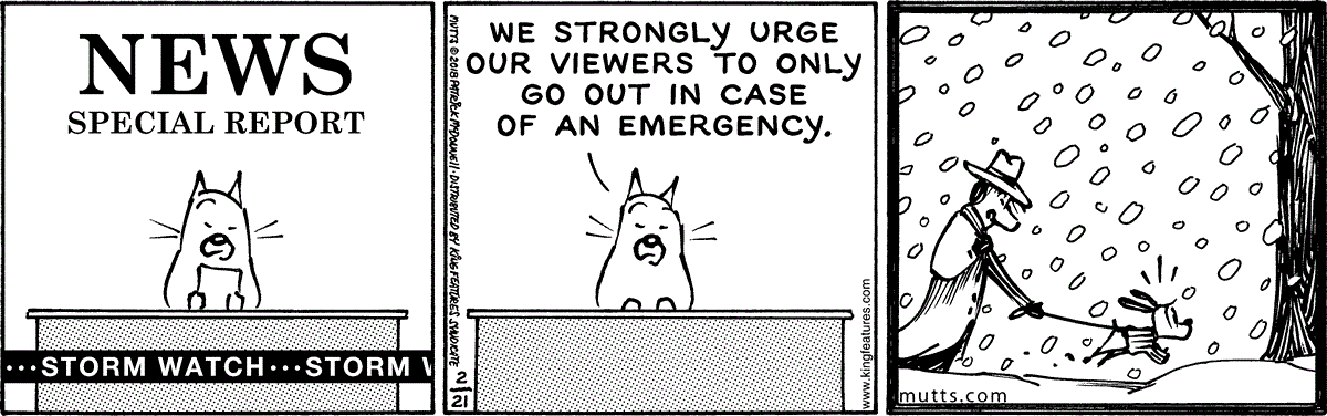 February 21 2018, Daily Comic Strip