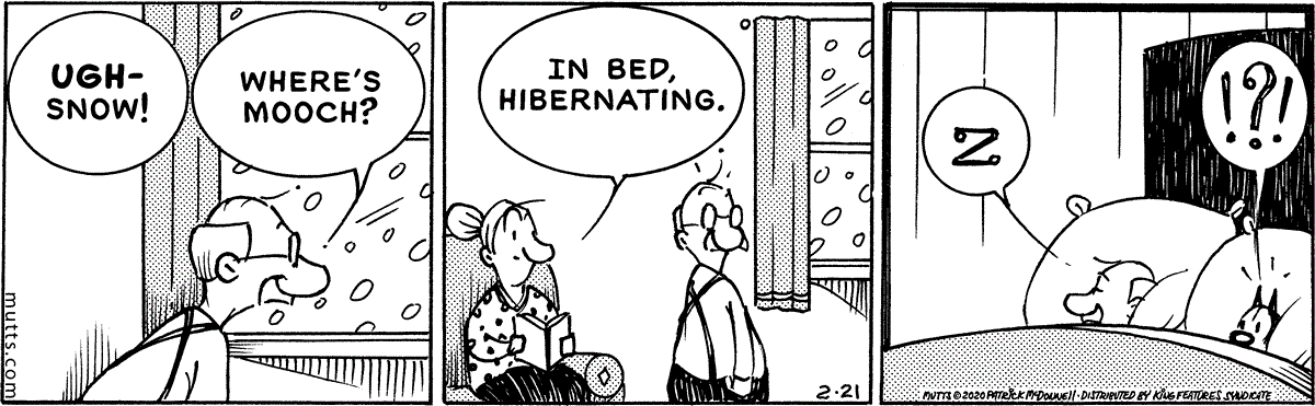 February 21 2020, Daily Comic Strip