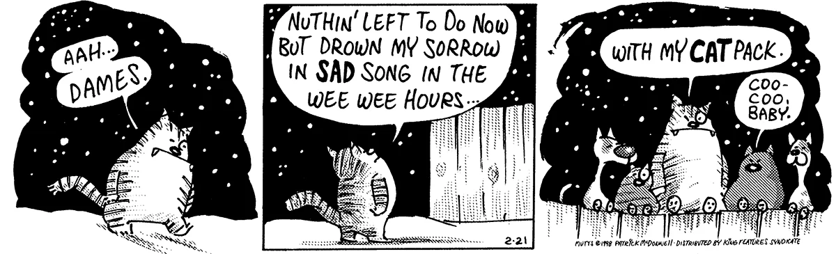 February 21 1998, Daily Comic Strip