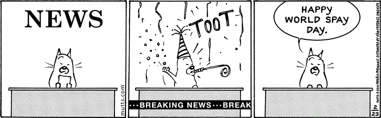February 23 2016, Daily Comic Strip