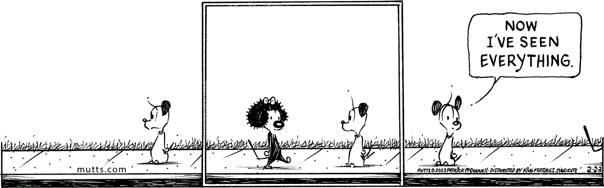 February 23 2023, Daily Comic Strip
