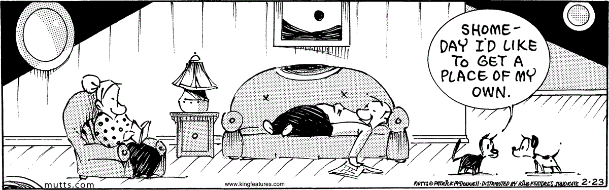 February 23 2024, Daily Comic Strip