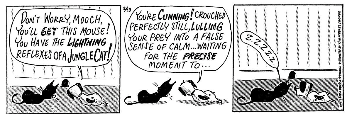 February 23 1995, Daily Comic Strip