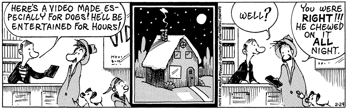 February 24 2000, Daily Comic Strip