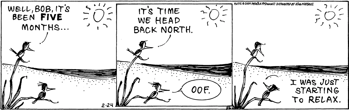 February 24 2004, Daily Comic Strip