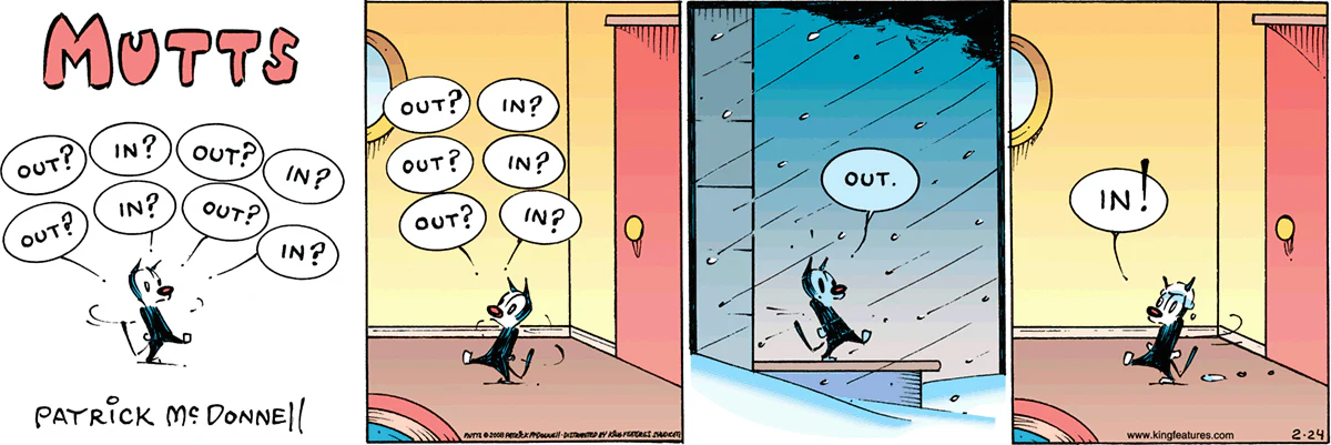 February 24 2008, Sunday Comic Strip