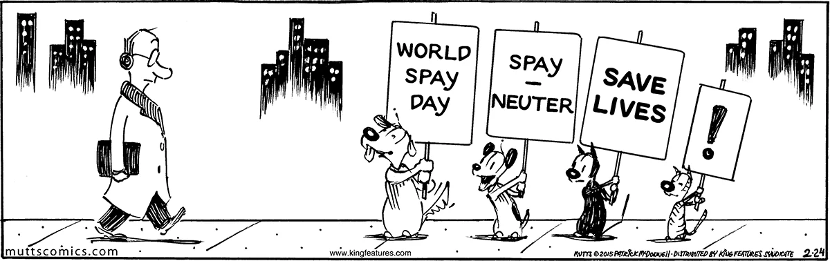 February 24 2015, Daily Comic Strip