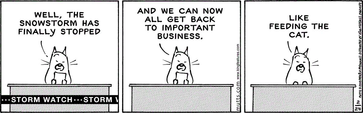 February 24 2018, Daily Comic Strip