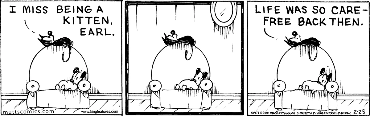 February 25 2010, Daily Comic Strip