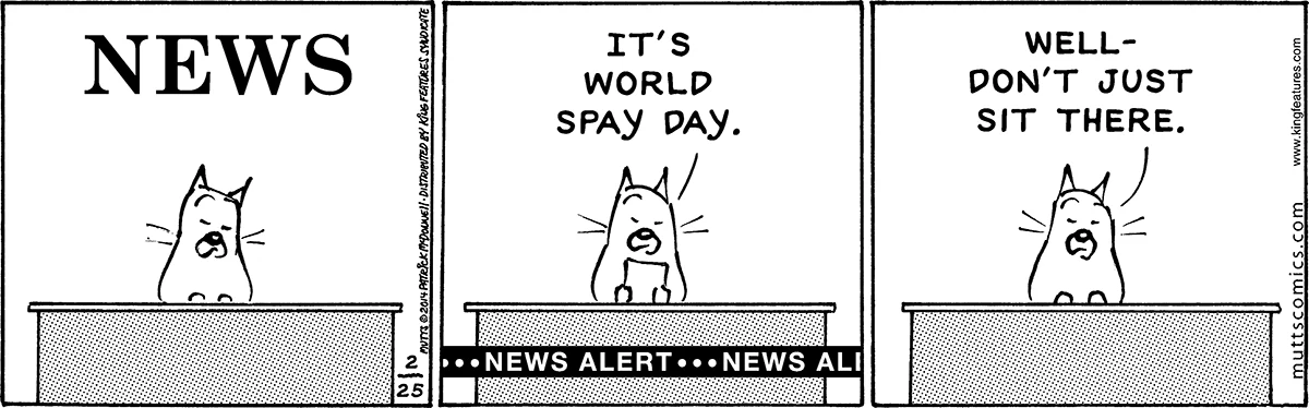 February 25 2014, Daily Comic Strip