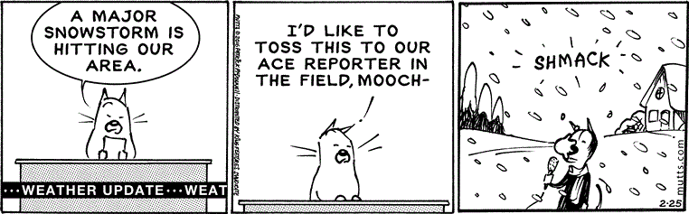February 25 2016, Daily Comic Strip