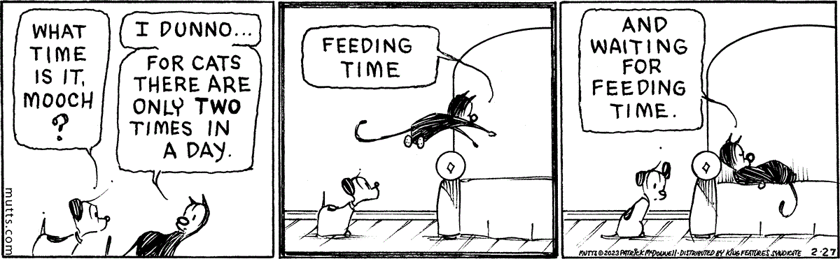 February 27 2023, Daily Comic Strip