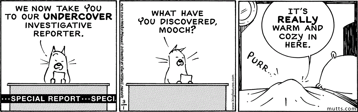 March 1 2019, Daily Comic Strip
