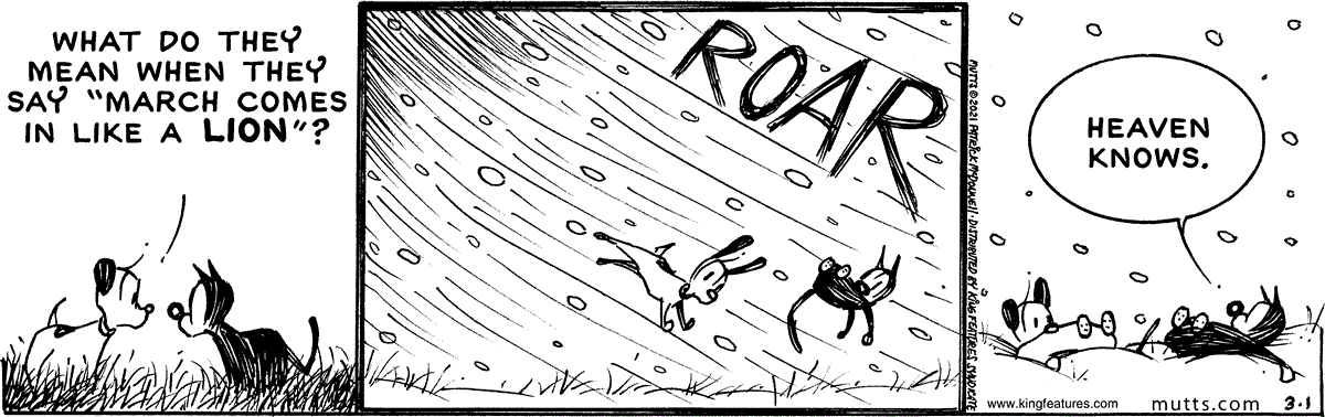 March 1 2021, Daily Comic Strip