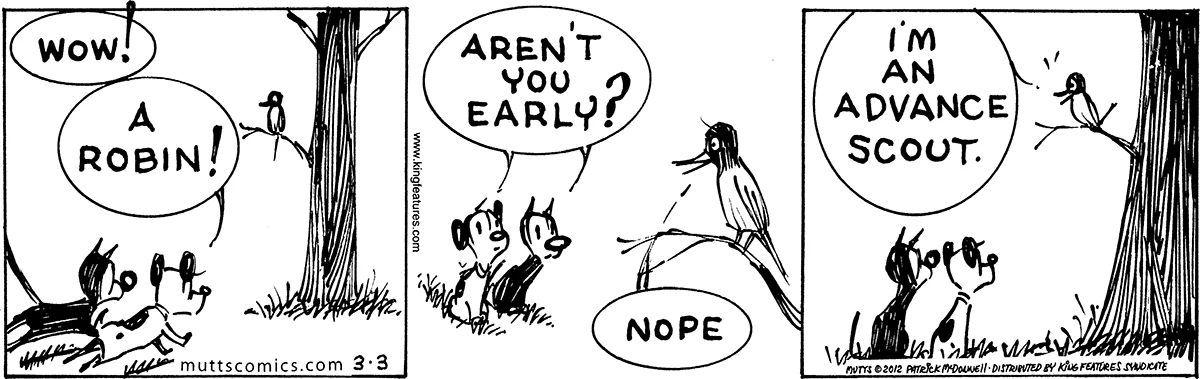 March 3 2012, Daily Comic Strip